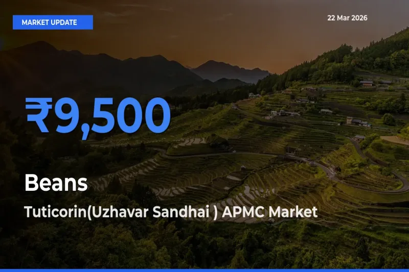 Market Watch: Tuticorin(Uzhavar Sandhai ) APMC Becomes Top Mandi for Beans
