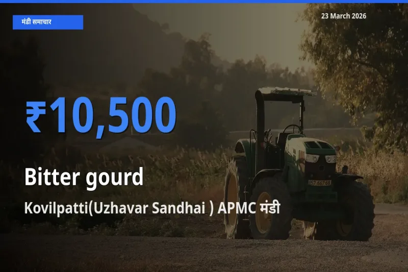 23 March अपडेट: करेला के सबसे ऊँचे दाम Kovilpatti(Uzhavar Sandhai ) APMC मंडी में