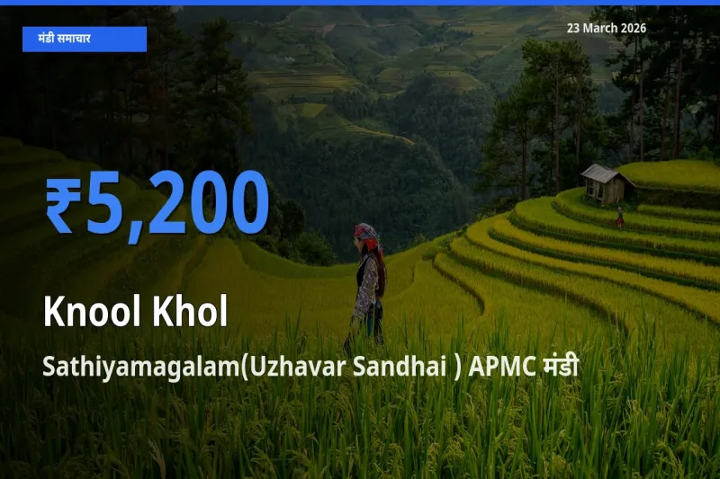23 March अपडेट: गांठगोभी के सबसे ऊँचे दाम Sathiyamagalam(Uzhavar Sandhai ) APMC मंडी में