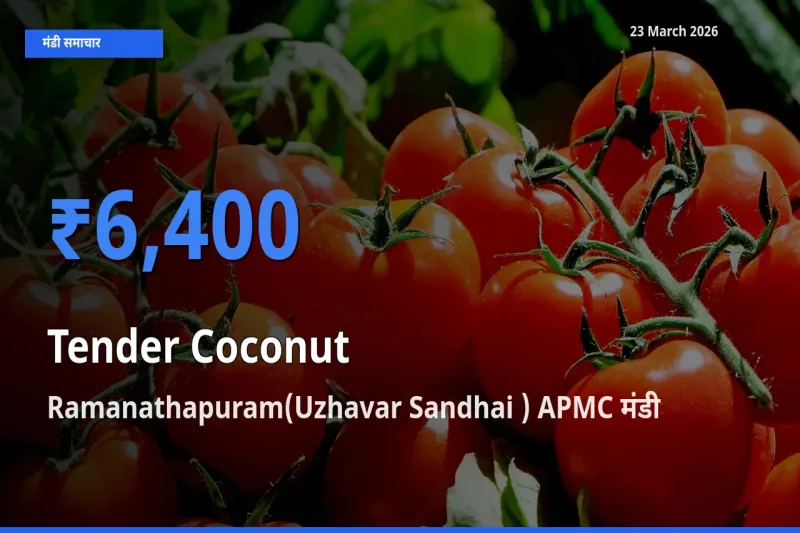बाज़ार संकेत: Ramanathapuram(Uzhavar Sandhai ) APMC बना कच्चा नारियल के लिए आज की टॉप मंडी