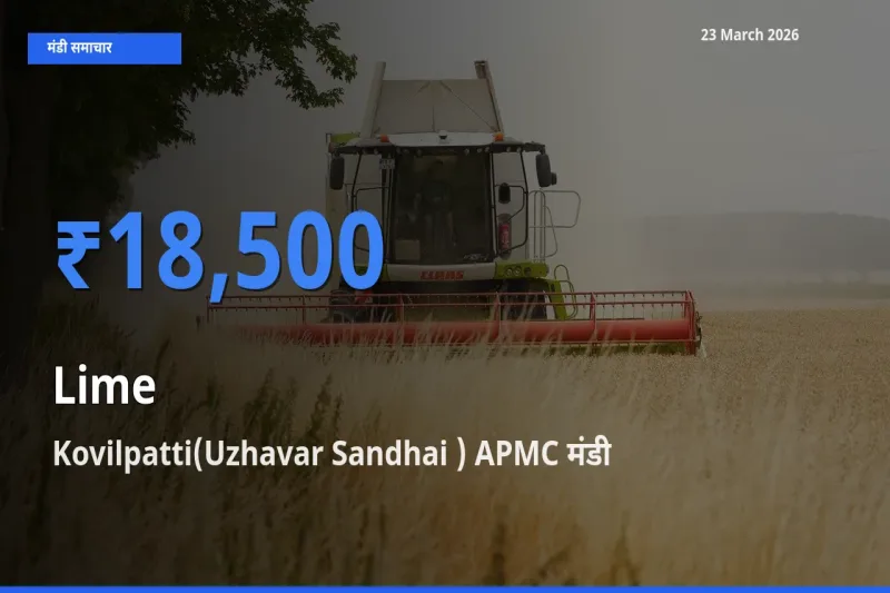 Kovilpatti(Uzhavar Sandhai ) APMC मंडी में नींबू ₹18,500 पर पहुँचा – आज का सर्वोच्च भाव
