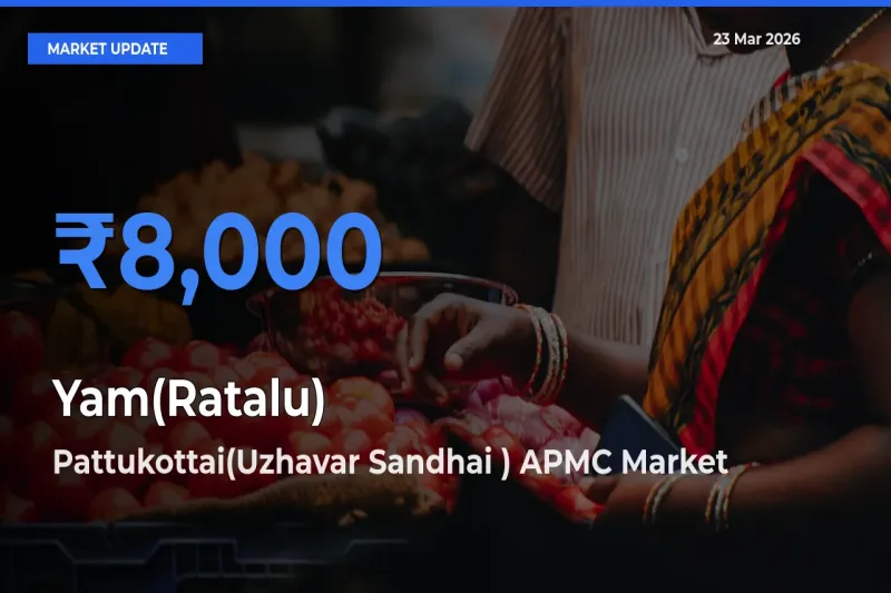 Pattukottai(Uzhavar Sandhai ) APMC Emerges as Top Mandi for Yam(Ratalu) Prices Today