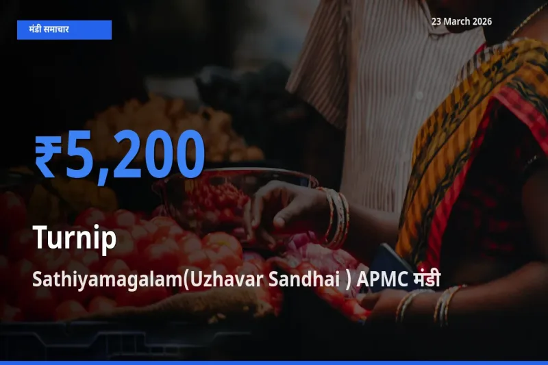 Sathiyamagalam(Uzhavar Sandhai ) APMC में शलजम का आज सबसे ऊँचा भाव