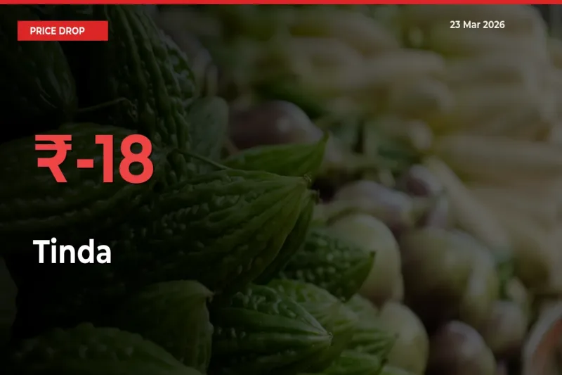 Tinda Mandi Rate Today: Prices Fall 18% at Market