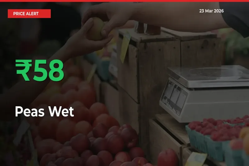 Why Peas Wet Prices Rose 57.7% in a Day at Mandis