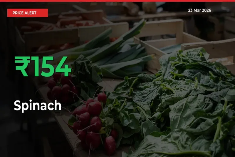 Big Rally! Spinach Climbs 153.8% in 24 Hours at Top Mandis