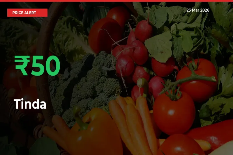 Sharp Jump! Tinda Prices Climb 50% in 24 Hours at Key Mandis