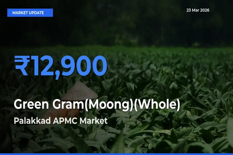 Palakkad APMC Tops Green Gram(Moong)(Whole) Mandi Rates Today