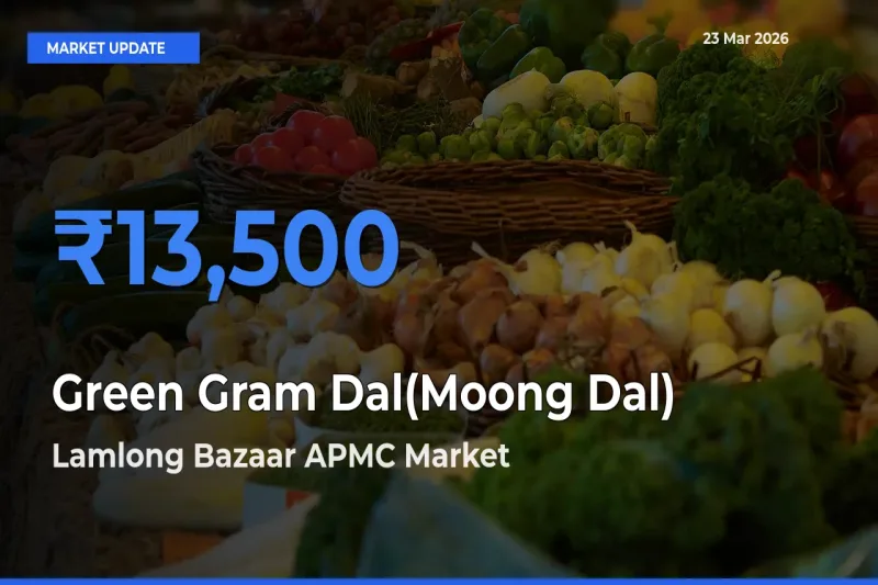 Farmers Prefer Lamlong Bazaar APMC as Green Gram Dal(Moong Dal) Hits Highest Rate