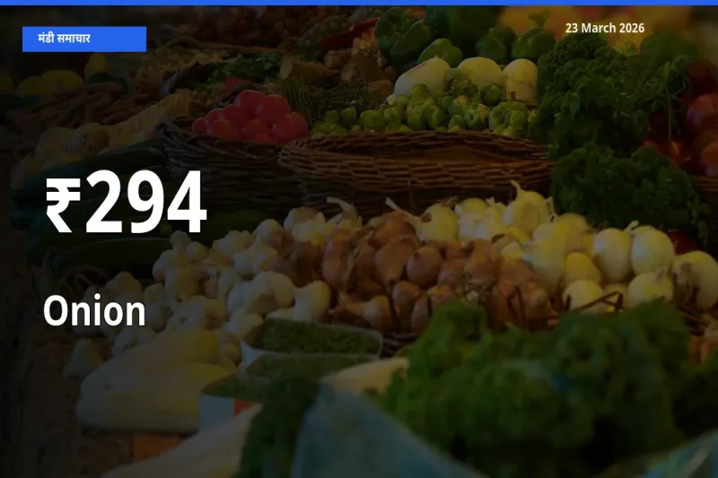 294+ मंडियों में प्याज के दामों का एक जैसा ट्रेंड