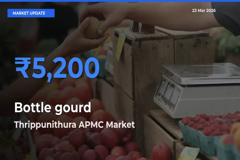 Thrippunithura APMC Tops Bottle gourd Rates – March 23 Market Update