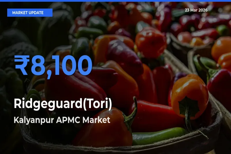 Kalyanpur APMC Tops Ridgeguard(Tori) Mandi Rates Today