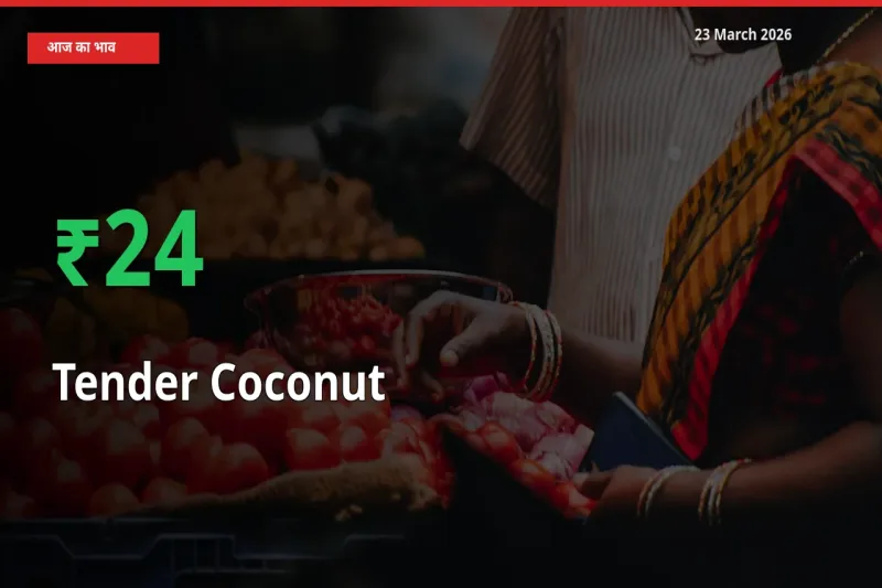 अचानक तेजी! मंडी में कच्चा नारियल के दाम 24.22% चढ़े