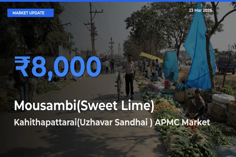 Kahithapattarai(Uzhavar Sandhai ) APMC Tops Mousambi(Sweet Lime) Mandi Rates Today