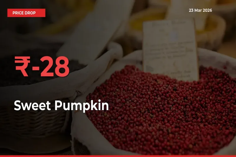 Sharp Fall! Sweet Pumpkin Prices Plunge 27.8% in a Day at Key Mandis
