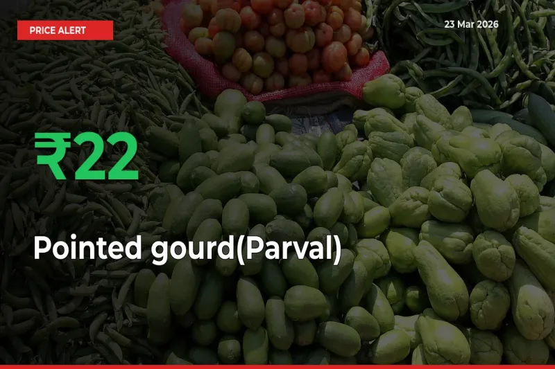 Pointed gourd(Parval) Rises 22.47% at Mandis