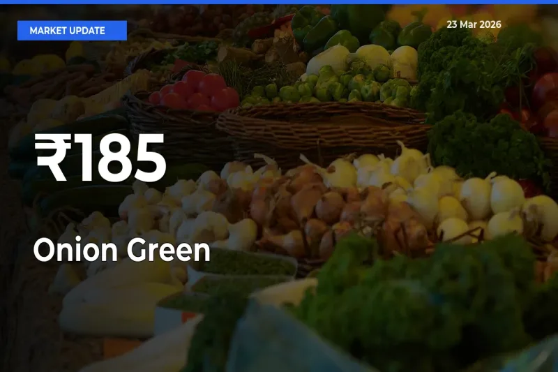 Strong Trend in Onion Green Rates Across Multiple Mandis – What It Means for Traders