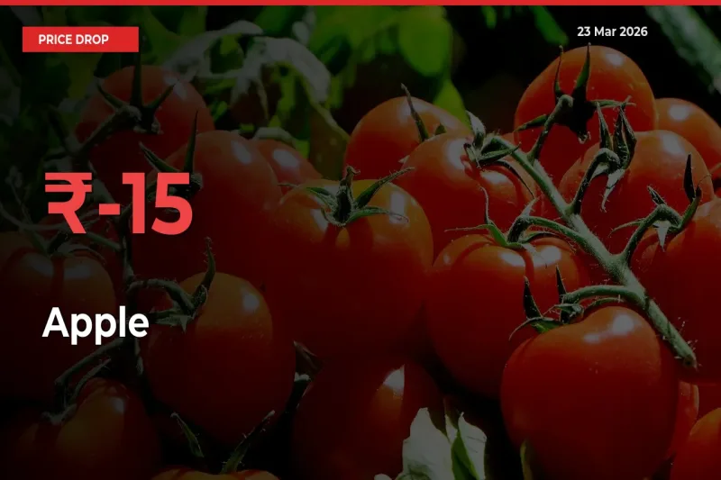 Sudden Shock! Apple Drops 15.39% in 24 Hours at Top Mandis