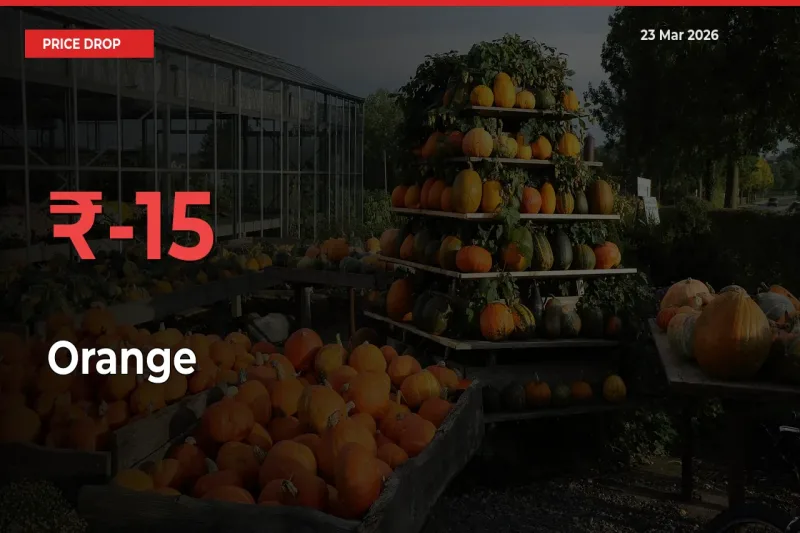 Orange Prices Drop 15.35% – March 23 Market Update from Mandis