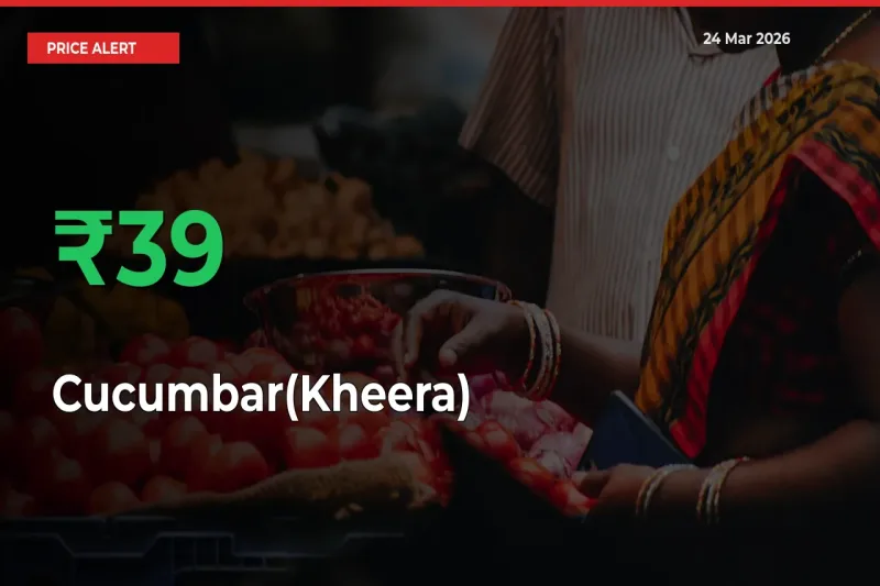 Farmers Cheer as Cucumbar(Kheera) Prices Surge 39.27% in Local Mandis