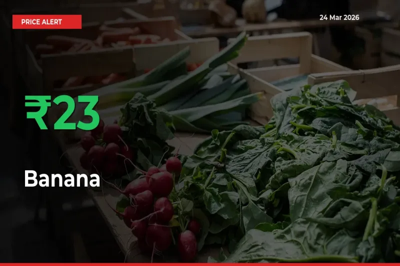 Banana Rises 22.97% at Mandis