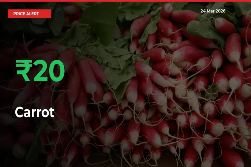 Carrot Prices Rise 19.98% in a Day at Major Mandis