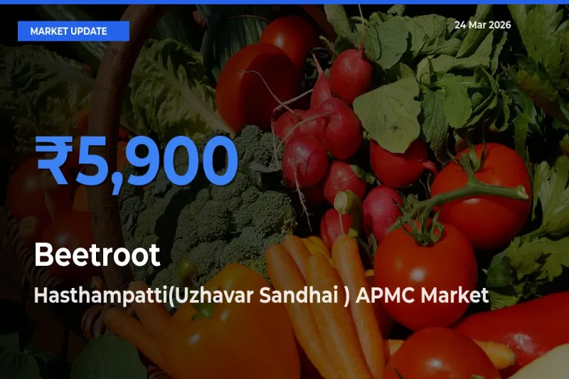 Hasthampatti(Uzhavar Sandhai ) APMC Tops Beetroot Mandi Rates Today