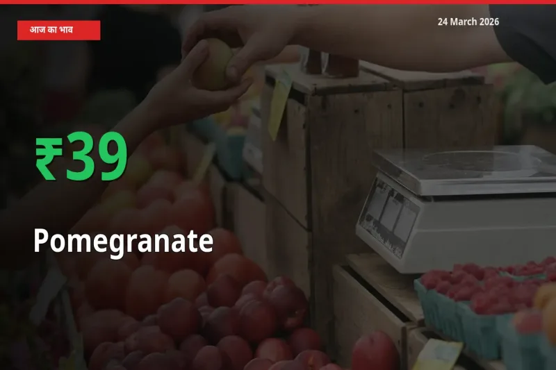 आज का मंडी भाव: अनार के दाम मंडी में 39.27% ऊपर