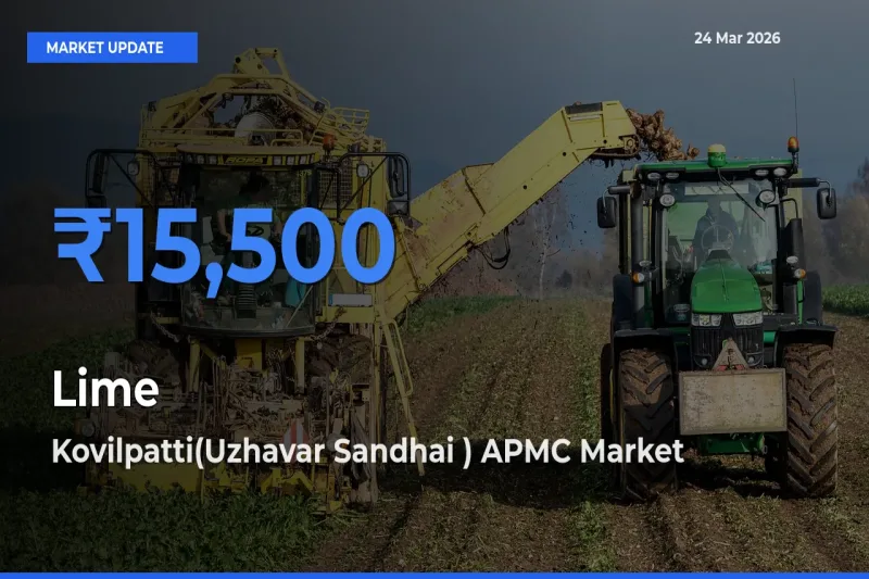 Kovilpatti(Uzhavar Sandhai ) APMC Leads as Top Mandi for Lime Prices