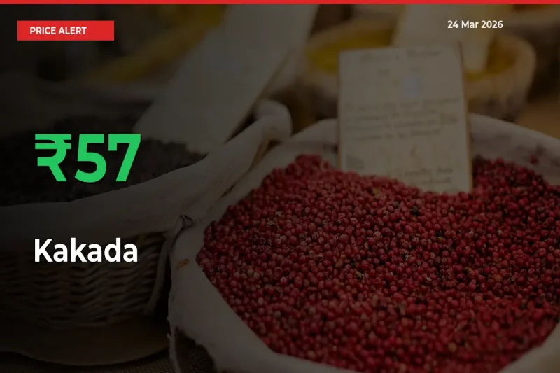 Kakada Mandi Rate Today: Prices Jump 57.33% at Market
