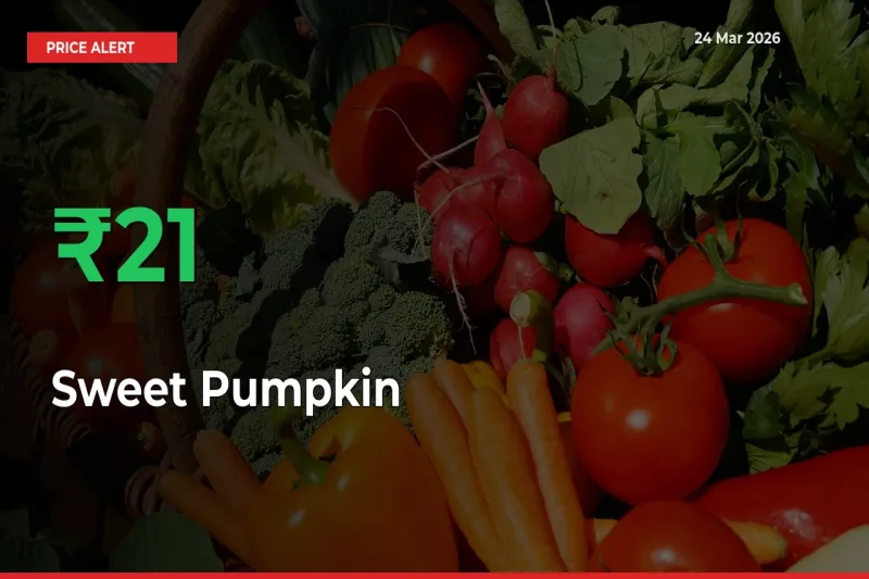Sweet Pumpkin Rises 21.43% at Mandis