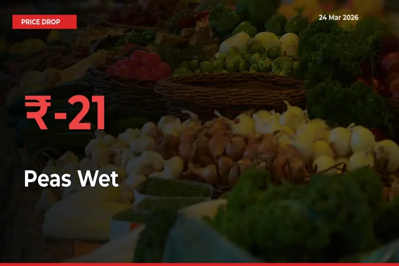 Sharp Fall! Peas Wet Prices Plunge 21.24% in a Day at Key Mandis