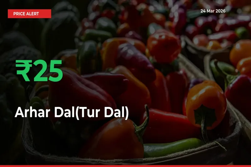 Sharp Jump! Arhar Dal(Tur Dal) Prices Climb 24.73% in 24 Hours at Key Mandis