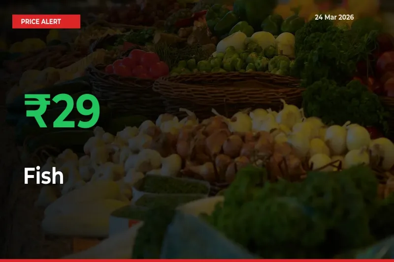 Farmers Cheer as Fish Prices Surge 28.65% in Local Mandis