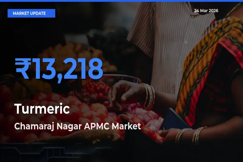 Farmers Prefer Chamaraj Nagar APMC as Turmeric Hits Highest Rate