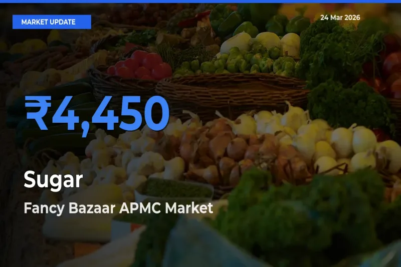Market Watch: Fancy Bazaar APMC Becomes Top Mandi for Sugar