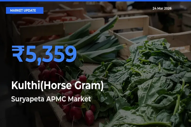 Suryapeta APMC Records Highest ₹5,359 Rate for Kulthi(Horse Gram)