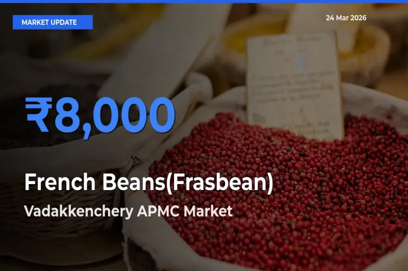 Vadakkenchery APMC Emerges as Top Mandi for French Beans(Frasbean) Prices Today