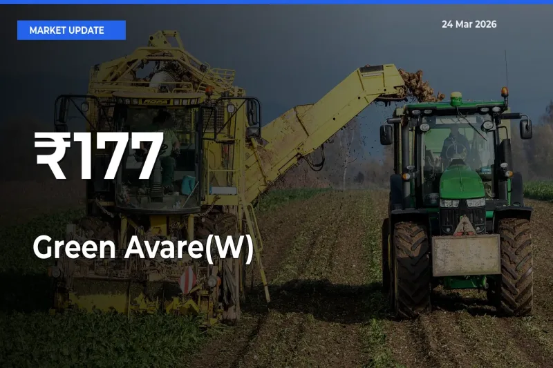 Green Avare(W) Prices Trend Across 177+ Mandis – Market Direction Turns Clear