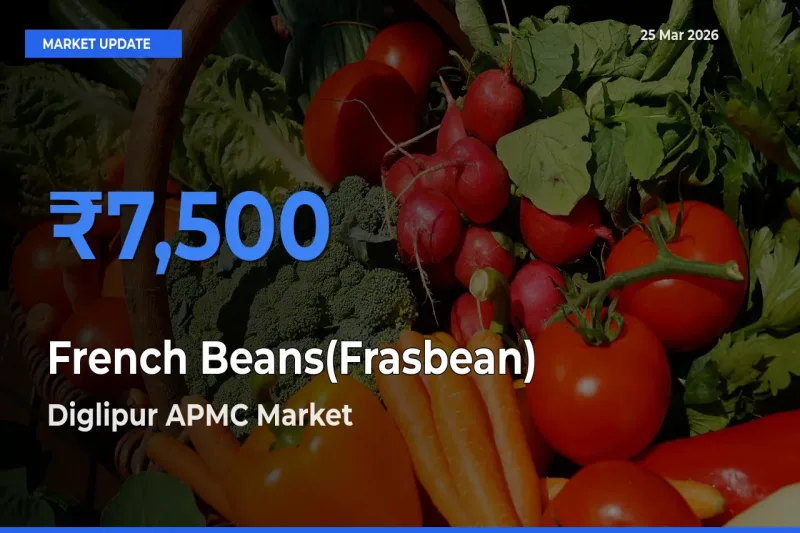 Diglipur APMC Tops French Beans(Frasbean) Rates – March 25 Market Update