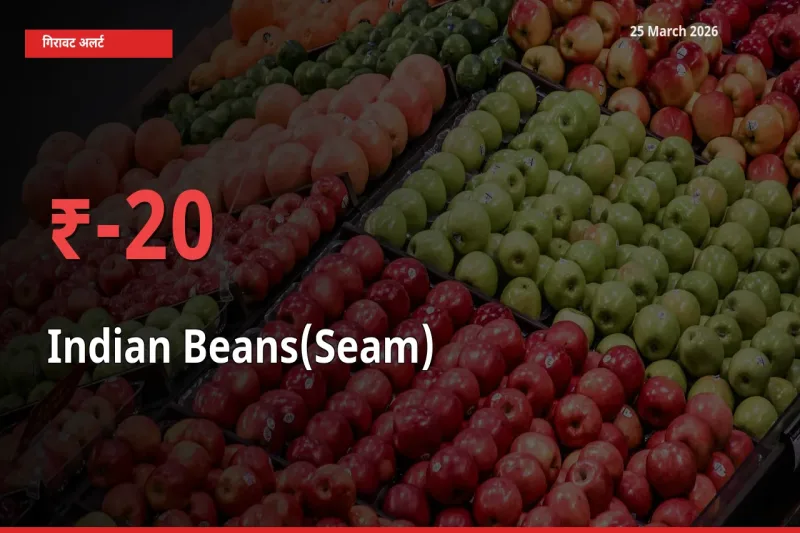 अचानक झटका! मंडी में सेम (देशी) के दाम 20.09% टूटे