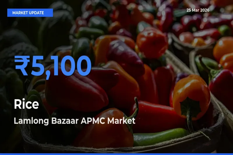 Farmers Prefer Lamlong Bazaar APMC as Rice Hits Highest Rate