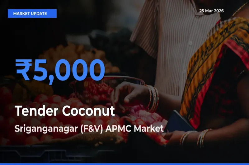 Sriganganagar (F&V) APMC Emerges as Top Mandi for Tender Coconut Prices Today