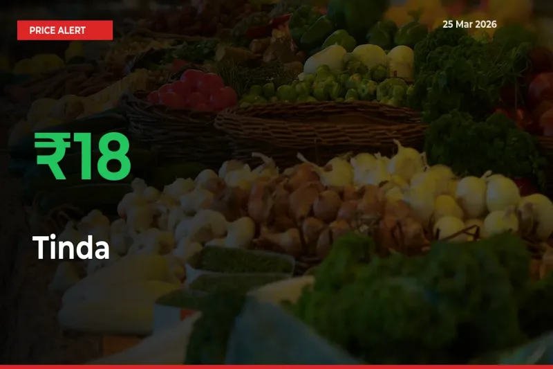 Farmers Cheer as Tinda Prices Surge 18.33% in Local Mandis