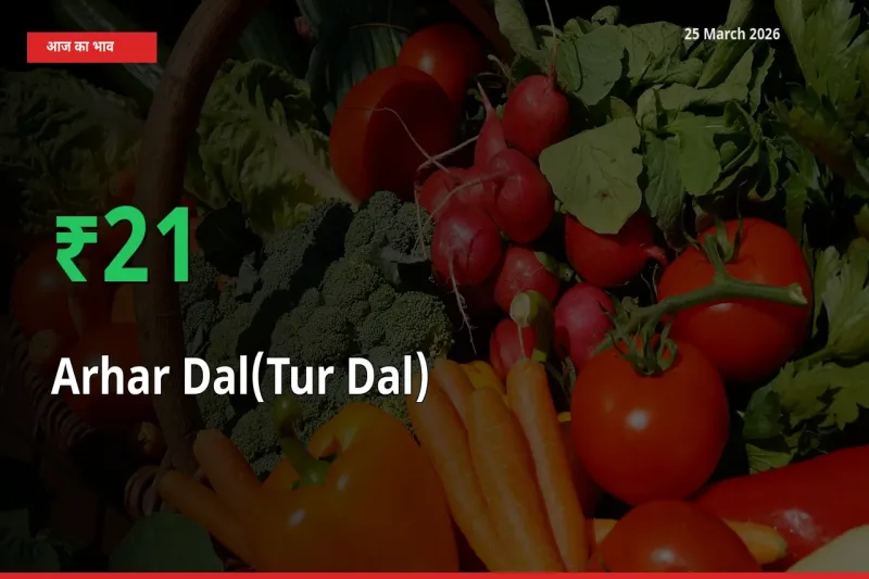 आज का मंडी भाव: अरहर दाल के दाम मंडी में 20.97% ऊपर