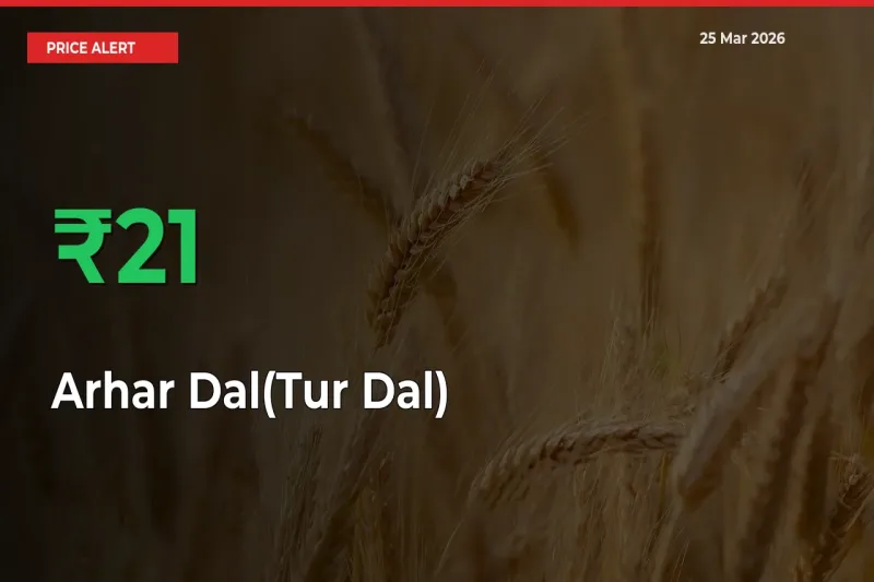 Sudden 20.97% Rally in Arhar Dal(Tur Dal) Prices Across Mandis