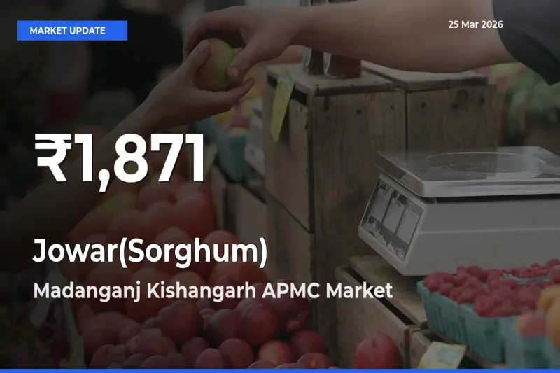 Jowar(Sorghum) Falls to ₹1,871 in Madanganj Kishangarh APMC – 30-Day Lowest Rate