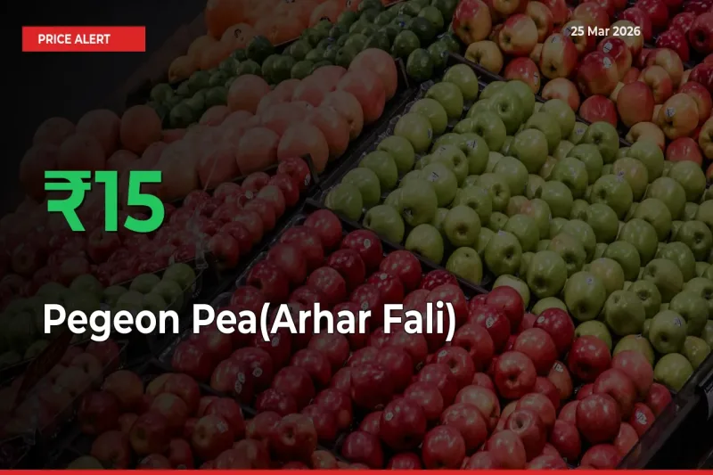 This Mandi Records 15.04% Jump in Pegeon Pea(Arhar Fali) Prices