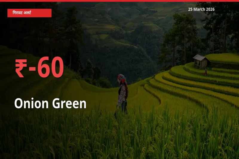 प्याज हरा 60.16% गिरा, मंडी