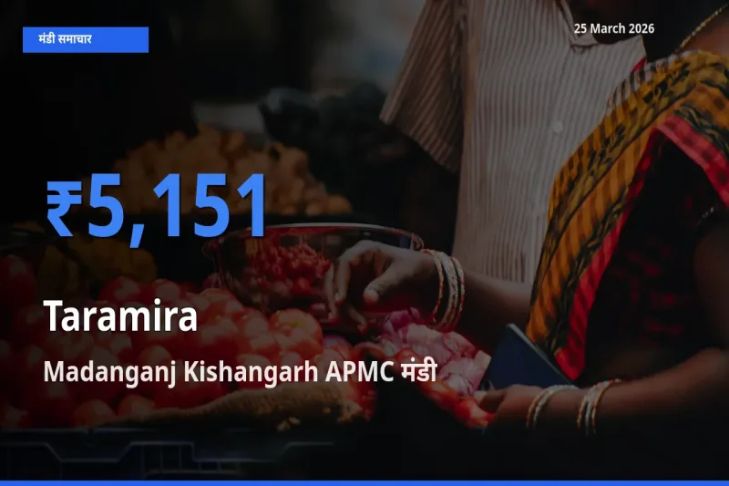 Madanganj Kishangarh APMC मंडी में तारामीरा ₹5,151 पर पहुँचा – आज का सर्वोच्च भाव